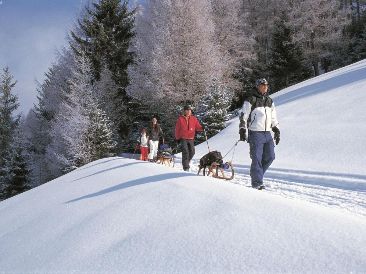 Apartment In Hopfgarten Brixental Near Ski Lift ฮอพฟ์การ์เทน อิม บริกเซนทัล ภายนอก รูปภาพ