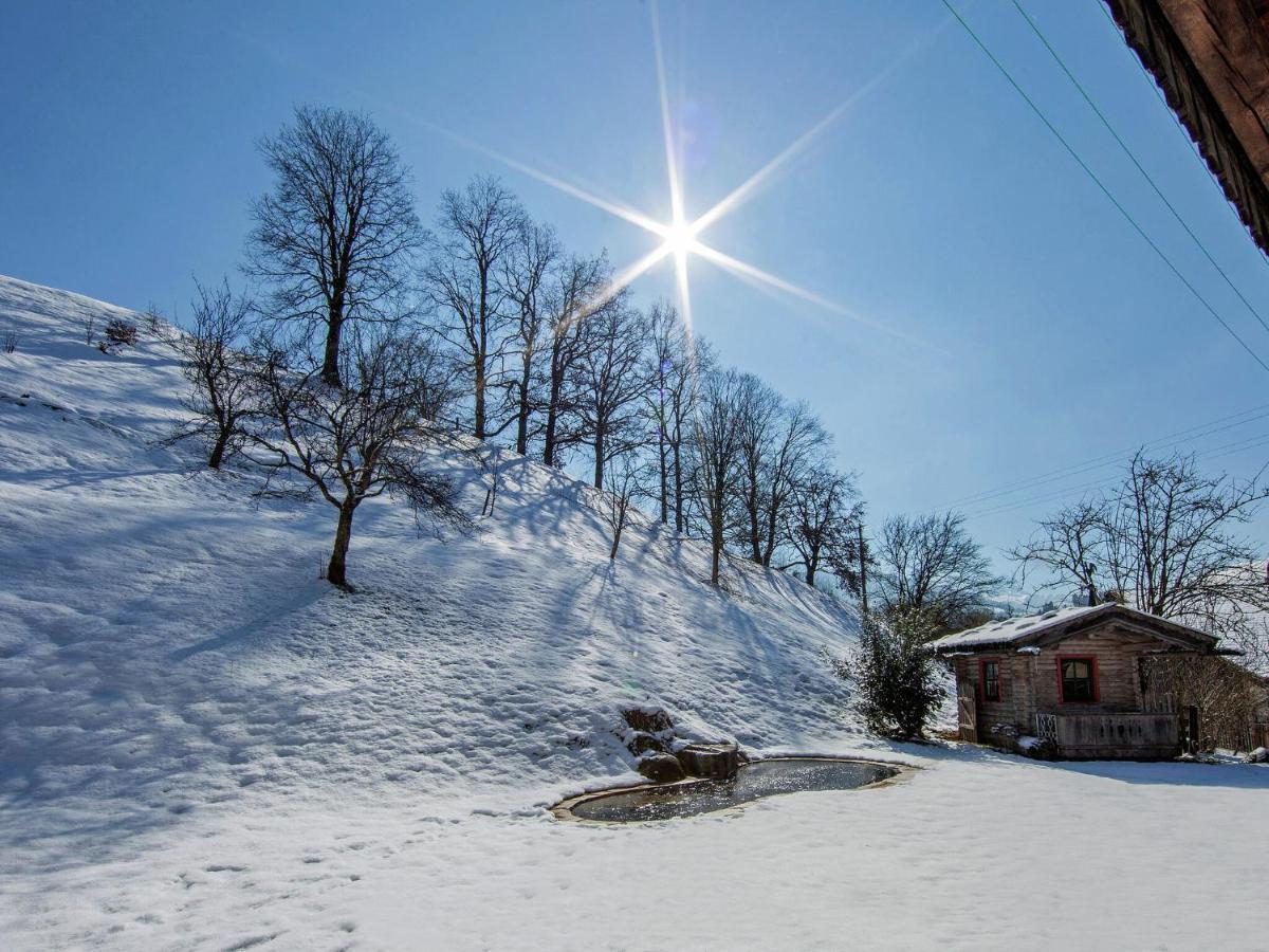 Apartment In Hopfgarten Brixental Near Ski Lift ฮอพฟ์การ์เทน อิม บริกเซนทัล ภายนอก รูปภาพ